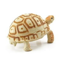Model Buck, oblik kornjače Buck, svijetla prozirna tekstura, 3 Buck-efekt, Simulacija morskog života, životinjski