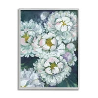 Studell pahuljasti bijeli cvjetni latica priroda Botanički i cvjetni slikanje siva uokvirena umjetnička print