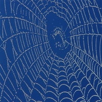 Ispis plakata s paukovom mrežom