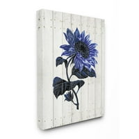 Ilustracija plavog suncokreta, bijeli dizajn ograde od farme, 24 30